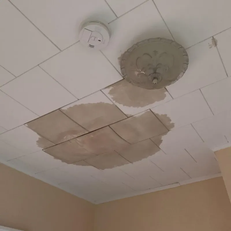 Ceiling Water Damage Repair in Williamstown, WV