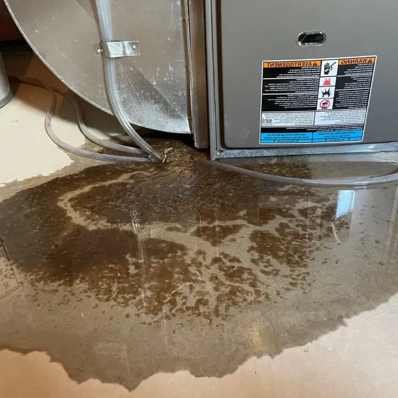 Pipe Burst and Leak Restoration in Williamstown, WV