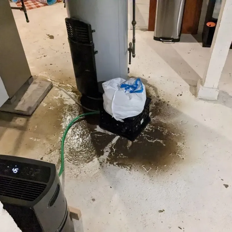 Sewage Backup Cleanup Service in Williamstown, WV